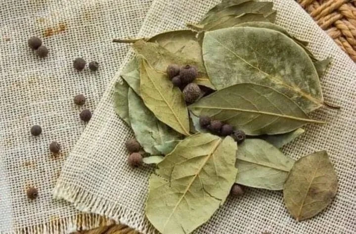 🌿🌿🌿ПРИВЛЕЧЬ УДАЧУ!🌿🌿🌿