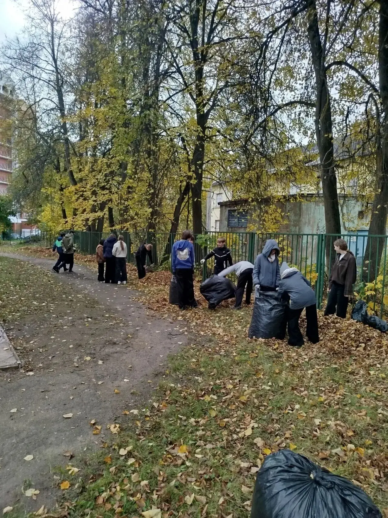 🍂 Осенний субботник в школе № 5