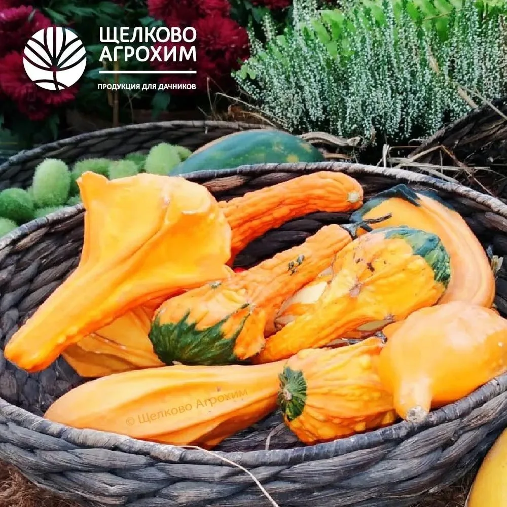 🍁 Доброе утро, дорогие подписчики!