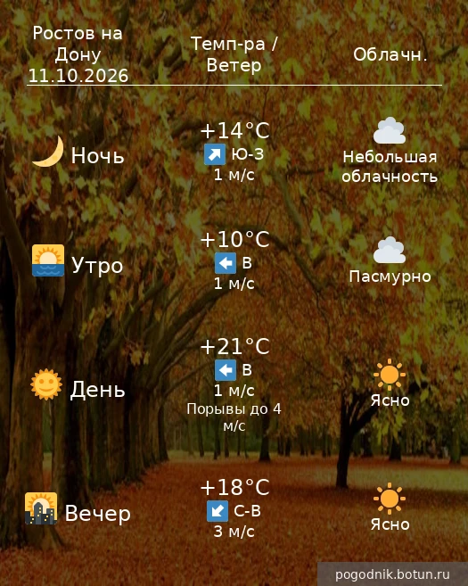 Погода на завтра  11.10.2026