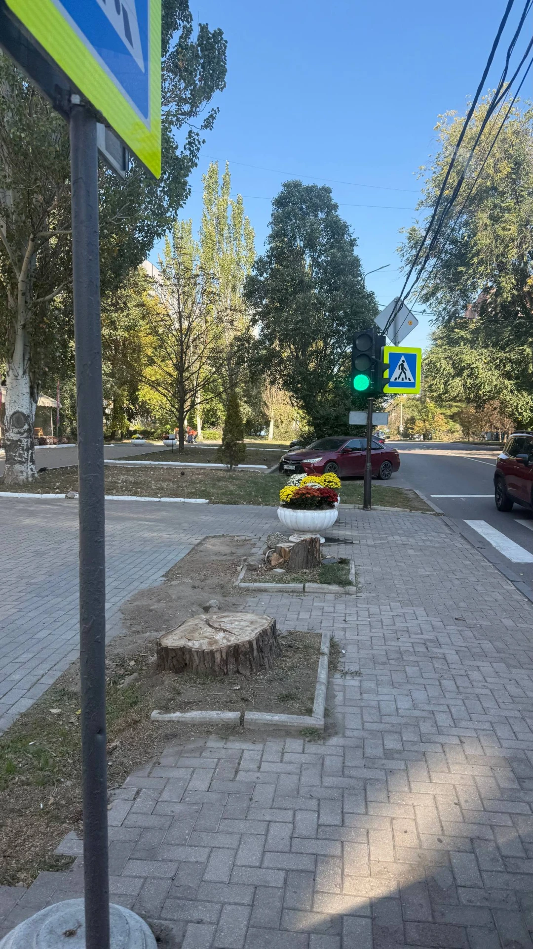 На улицах Донецка появляются новые цветочные клумбы 🥰👍