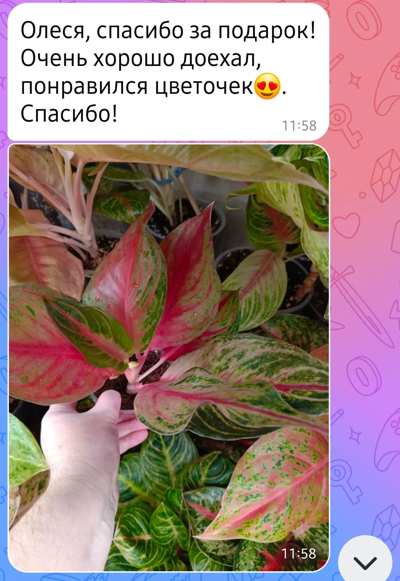 Дорогие друзья!