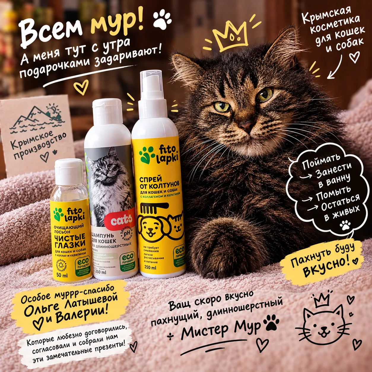 Всем мур! 🐾