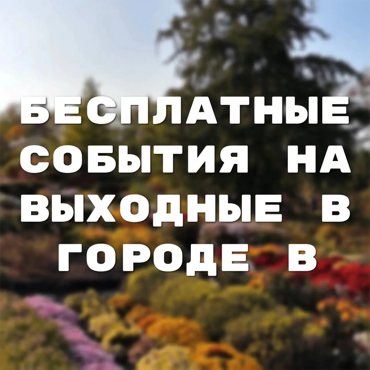 Делюсь с вами подборкой бесплатных событий в городе в эти выходные❣️
