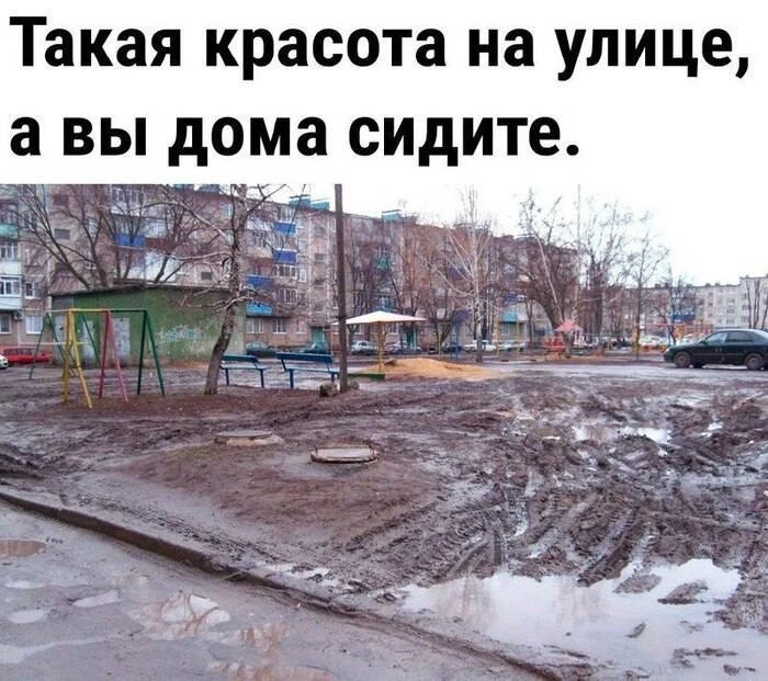 ❄️ Синоптики прогнозируют аномально теплую зиму без устойчивых морозов и снега