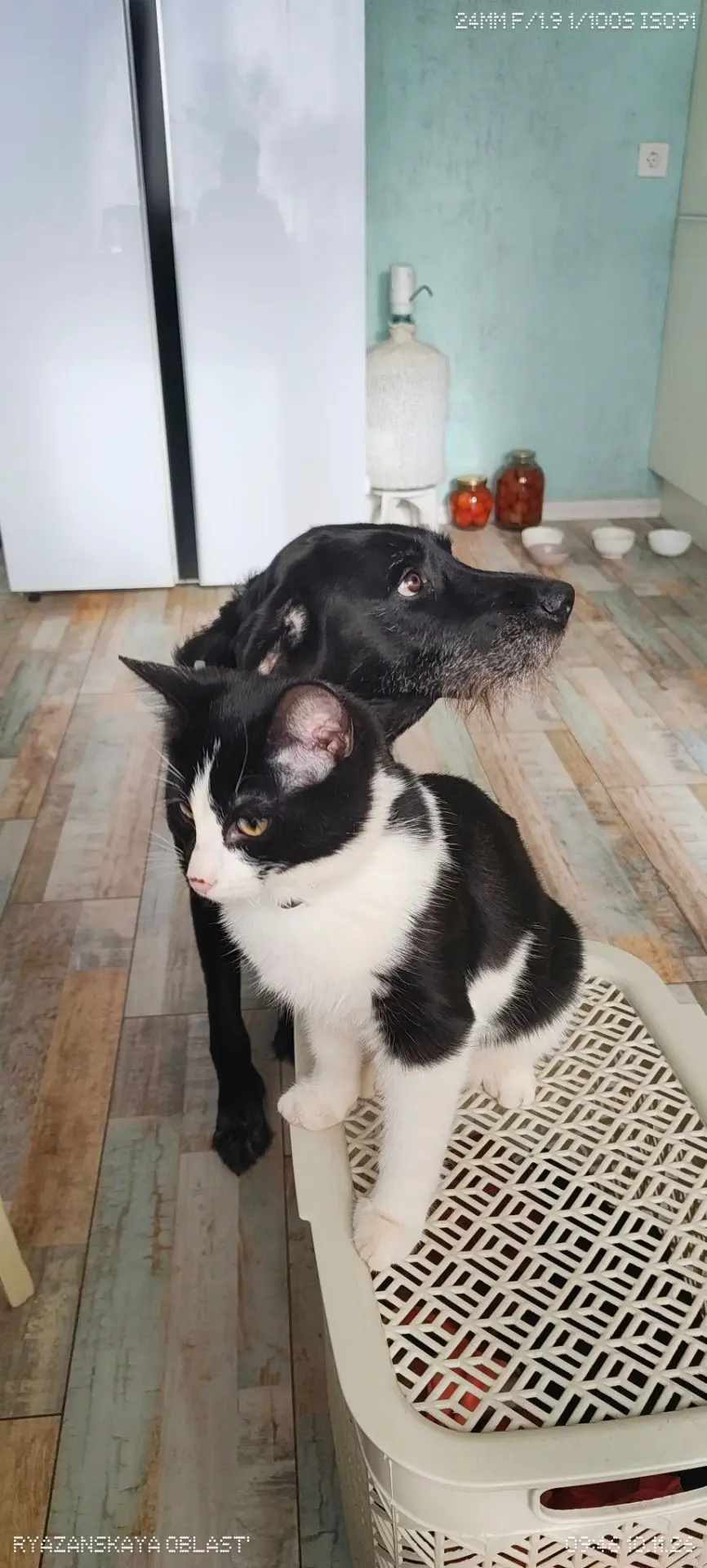 Сегодня воскресенье и сегодня мы все дома👫настоящий выходной в выходной❤️