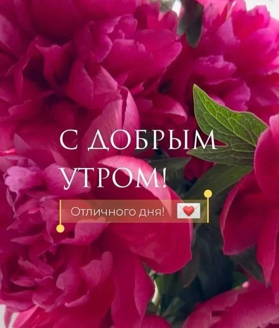 ☀️ Доброе утро!
