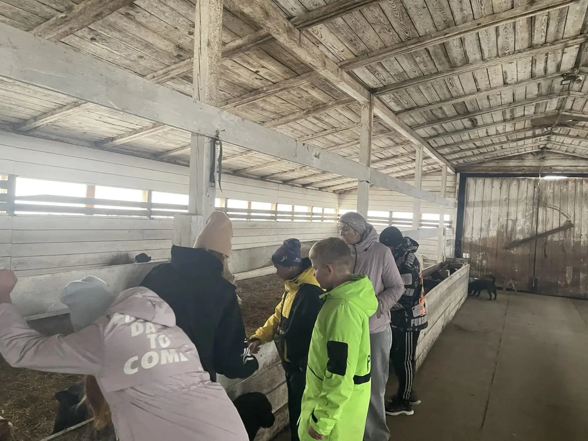🐴 В мир профессий — через новые впечатления!