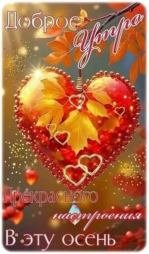 С добрым утром 🌹
