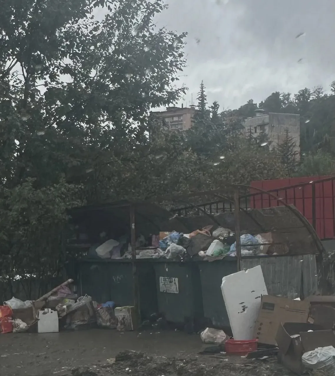 🗑 В Блиново прекратился вывоз мусора