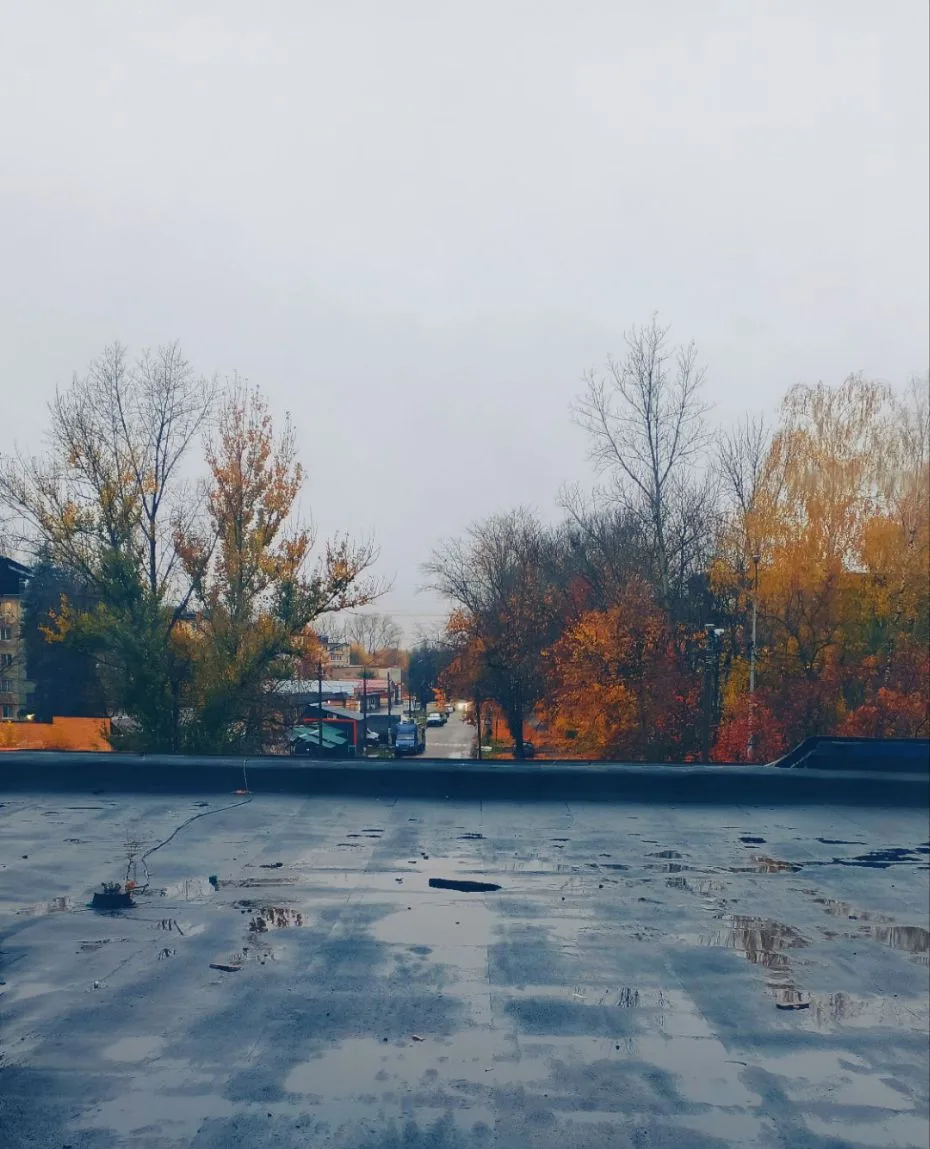 Уже чувствуется осень 🍂