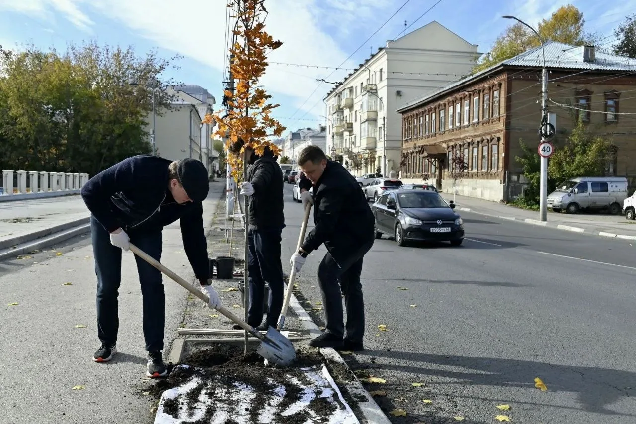 ГУБЕРНАТОР ПАВЕЛ МАЛКОВ УЧИТ МЭРА САЖАТЬ ЛИПЫ!
