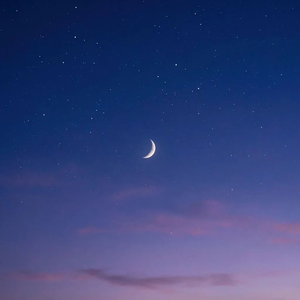 🌒 Луна растёт: 2-й лунный день и Скорпион