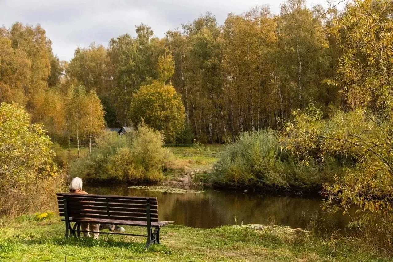 «Городской лес»: красивые места для фото 🌲📸