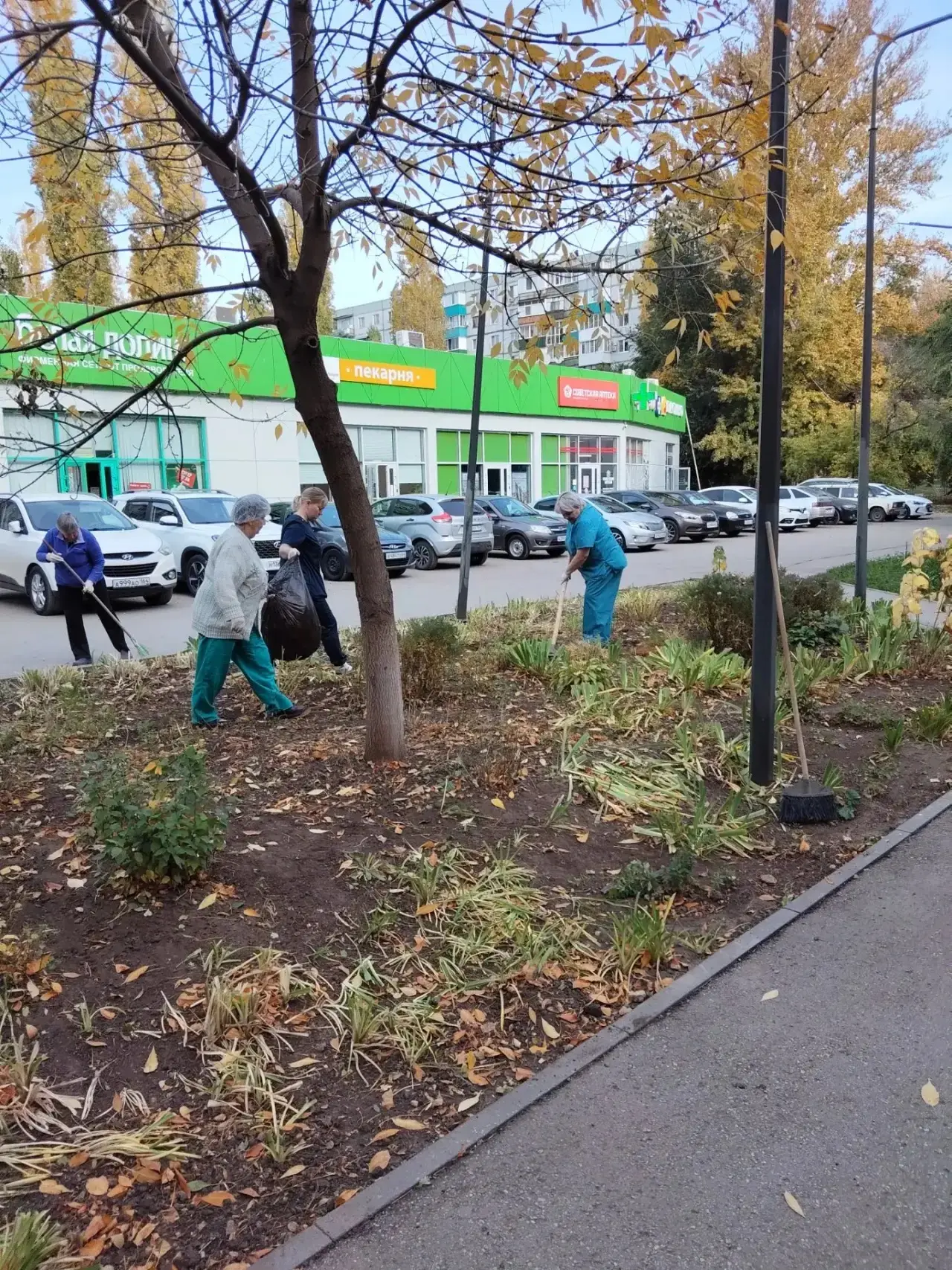 🍁 В эти золотые денёчки во всех подразделениях Балаковской районной поликлиники проход...