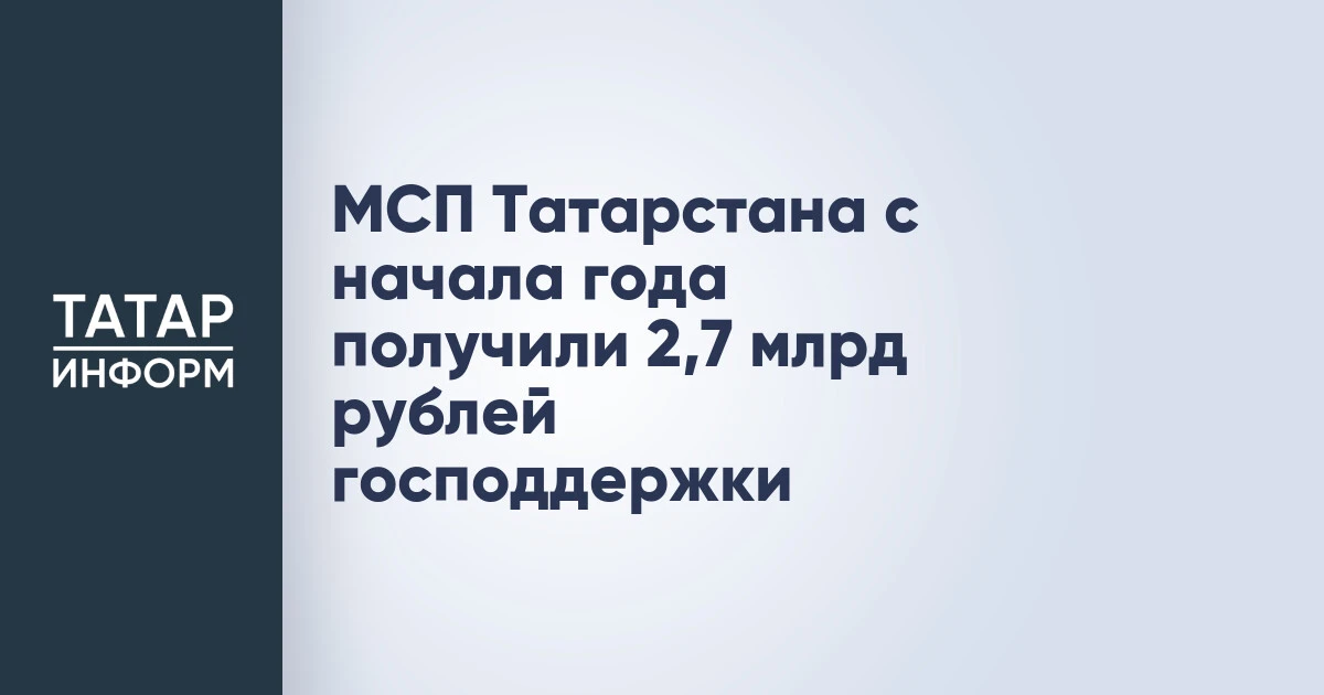 МСП Татарстана с начала года получили 2,7 млрд рублей господдержки