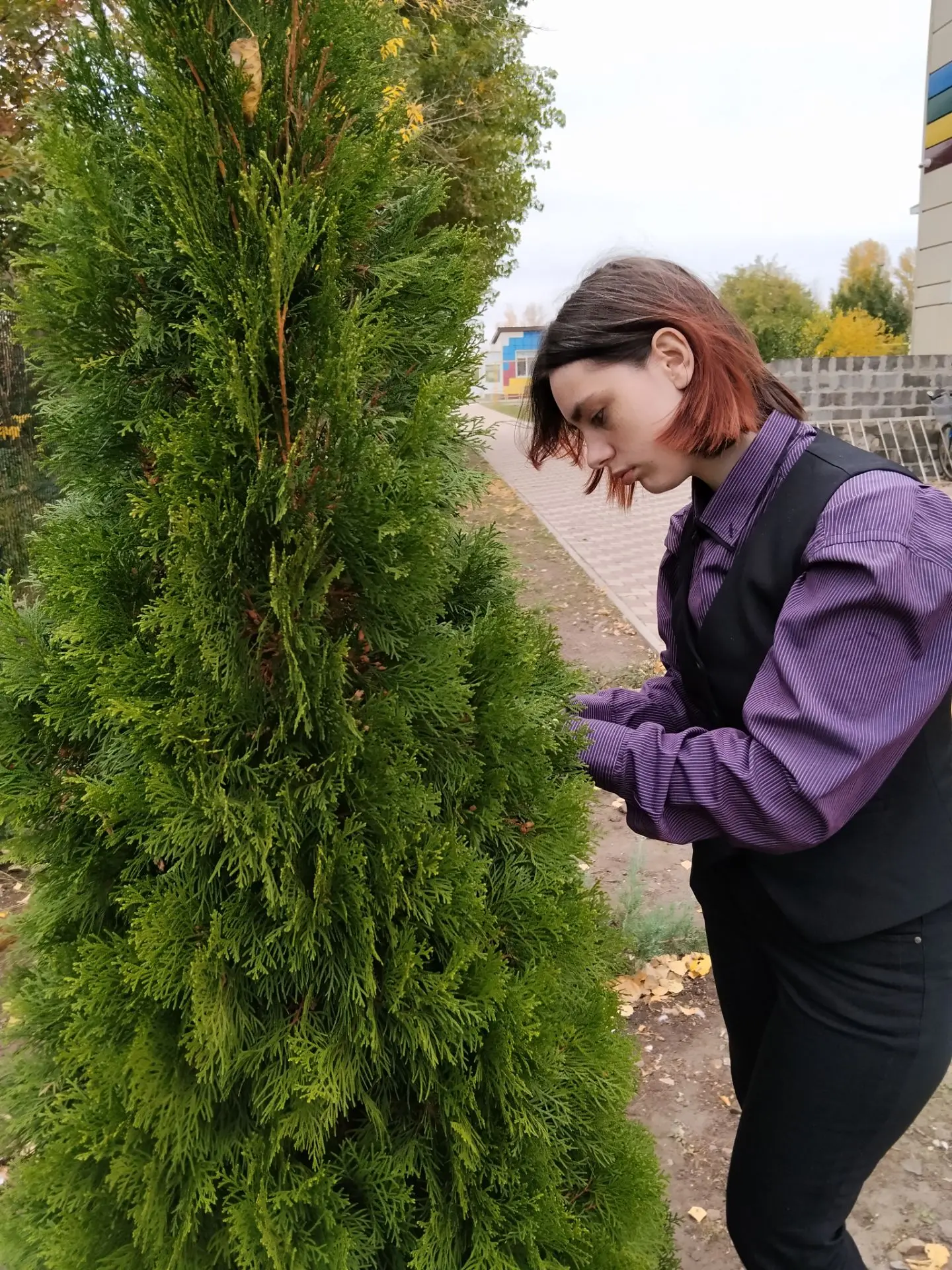 Ученики Агротехкласса🌿 попробовали себя в роли настоящих растениеводов — они зачеренко...