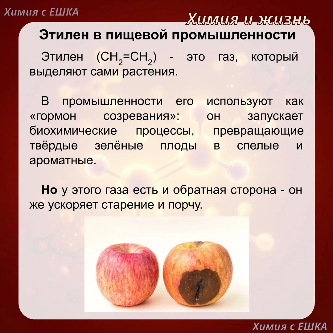 🍌 БАНАН РЯДОМ С ПОМИДОРОМ — И ЧТО? ЭТИЛЕН ДЕЛАЕТ ЧУДЕСА НА КУХНЕ!