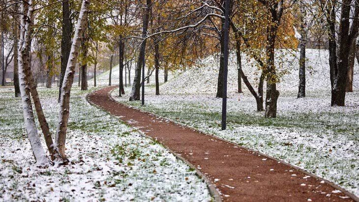 🌨Первый снег в Москве выпадет уже 20 октября, — синоптики.