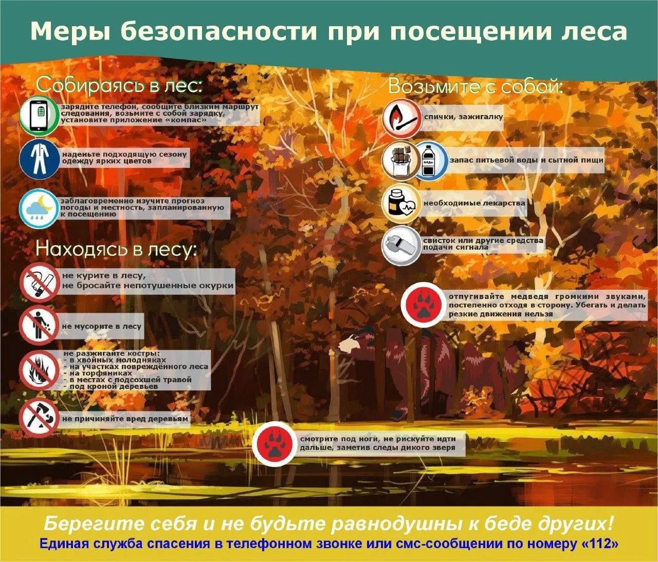 ПРАВИЛА БЕЗОПАСНОГО ПОСЕЩЕНИЯ ЛЕСА