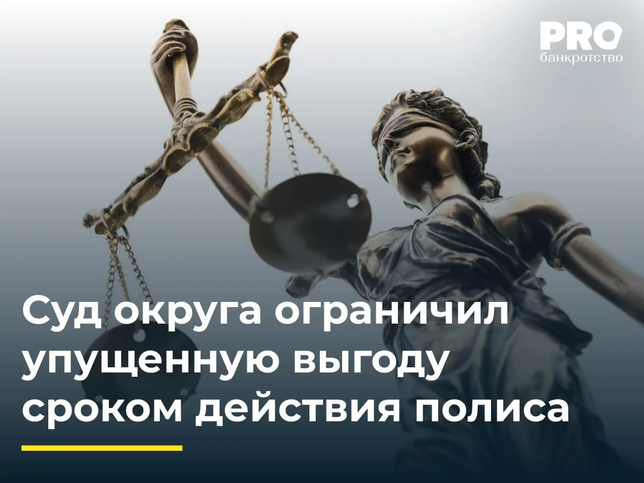 Суд округа ограничил упущенную выгоду сроком действия полиса