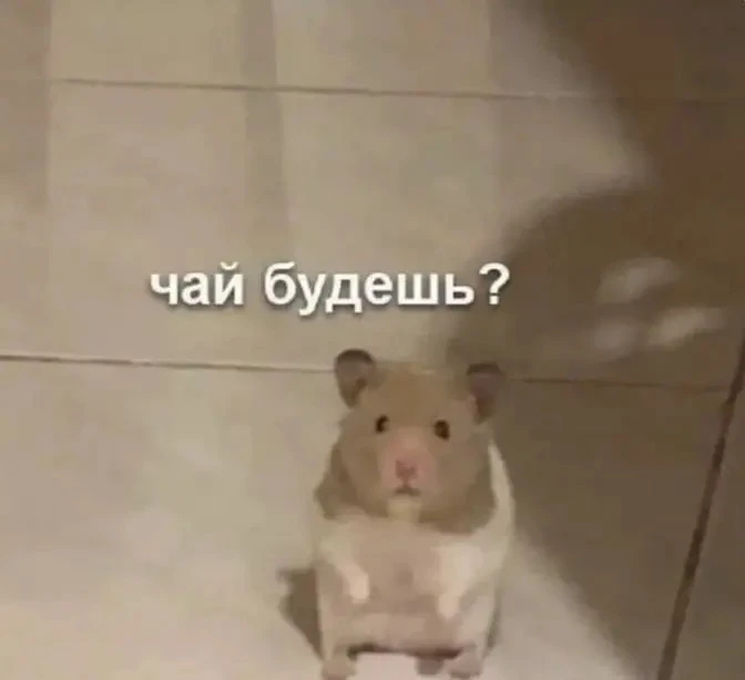 Это я, пытаюсь оказывать близким людям эмоциональную поддержку🤨