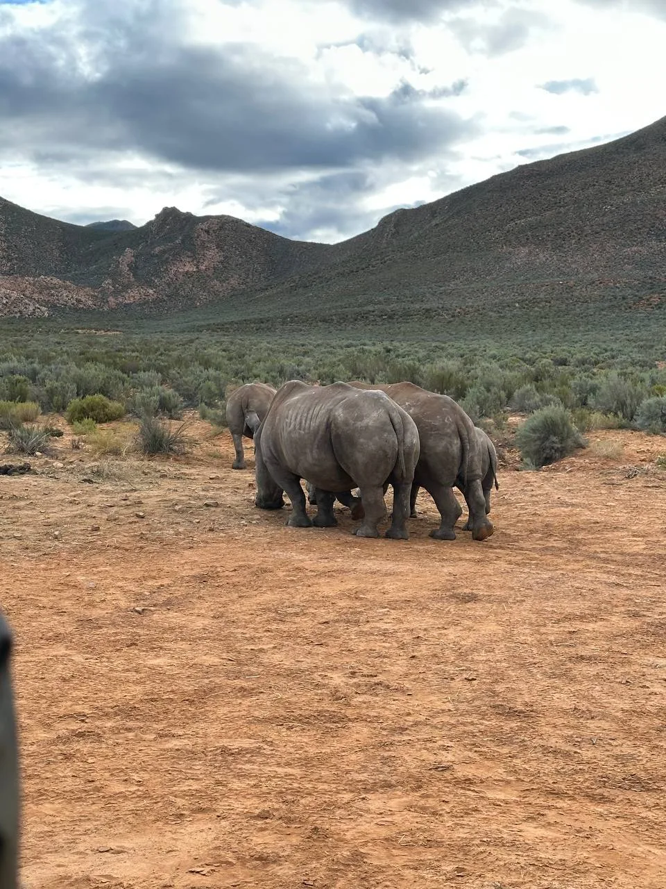 Океан, сафари, винодельни и киты 🇿🇦