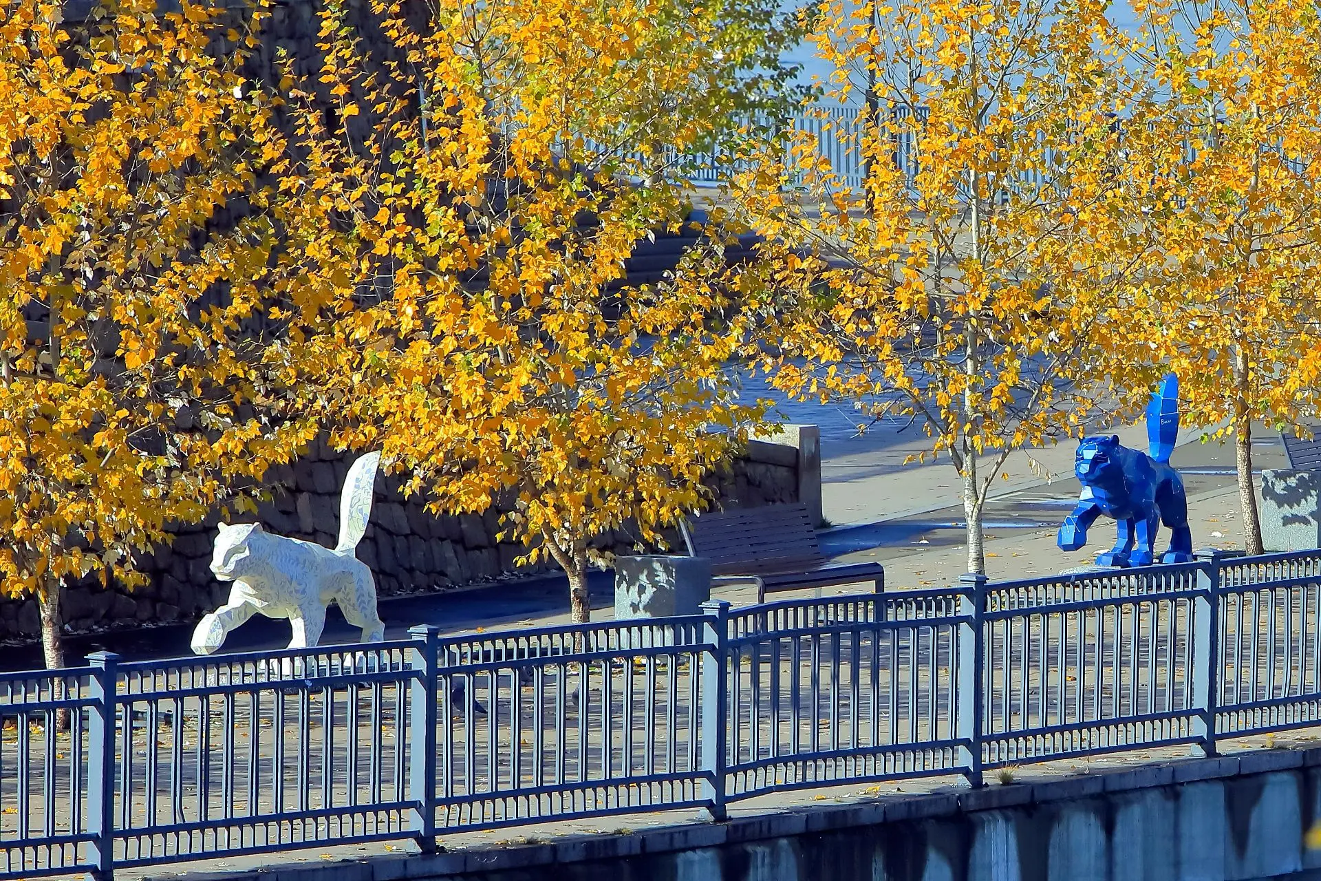 🍂 Доброе утро, Иркутск!