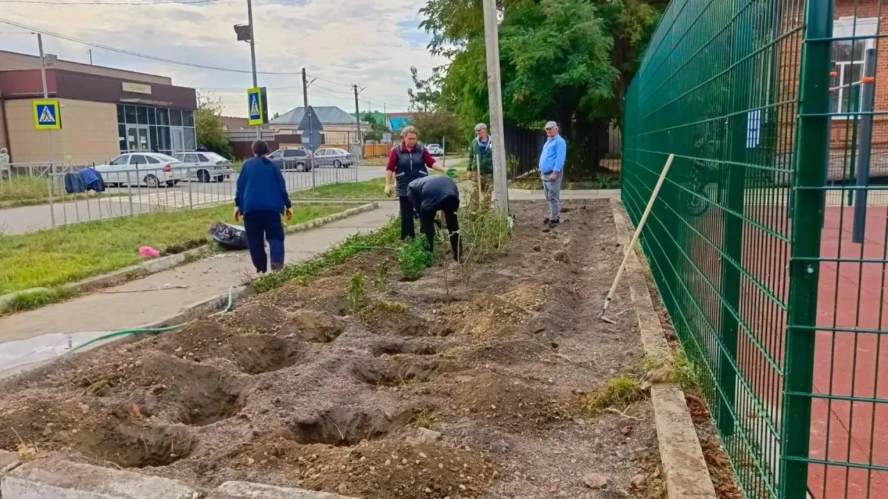 🌹 Продолжаем традицию озеленения Кочубеевского округа!