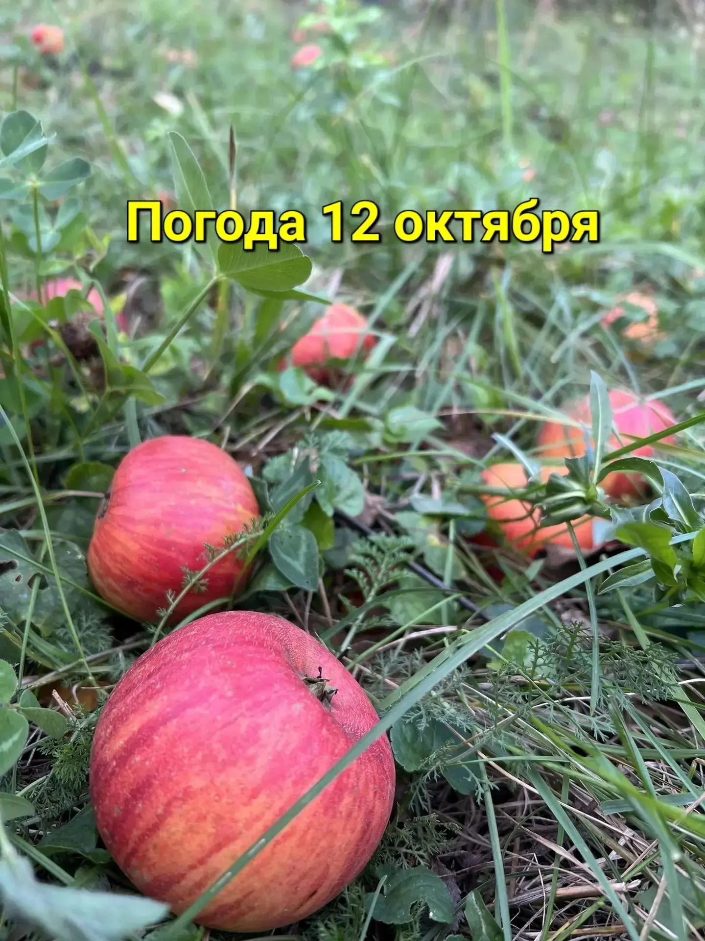 Еще один летний день в середине октября