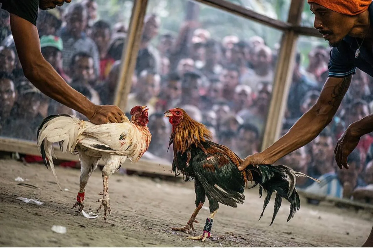 🧐 УВЫ ИЛИ АХ