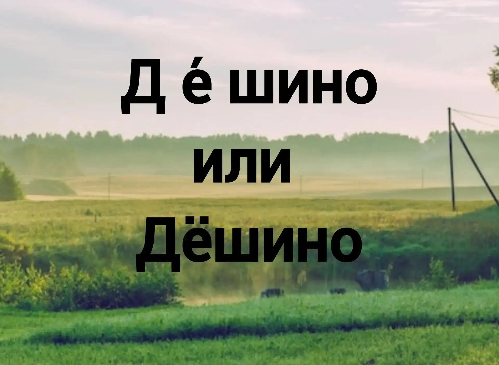 Обращение от жителя Краснопахорского района:
