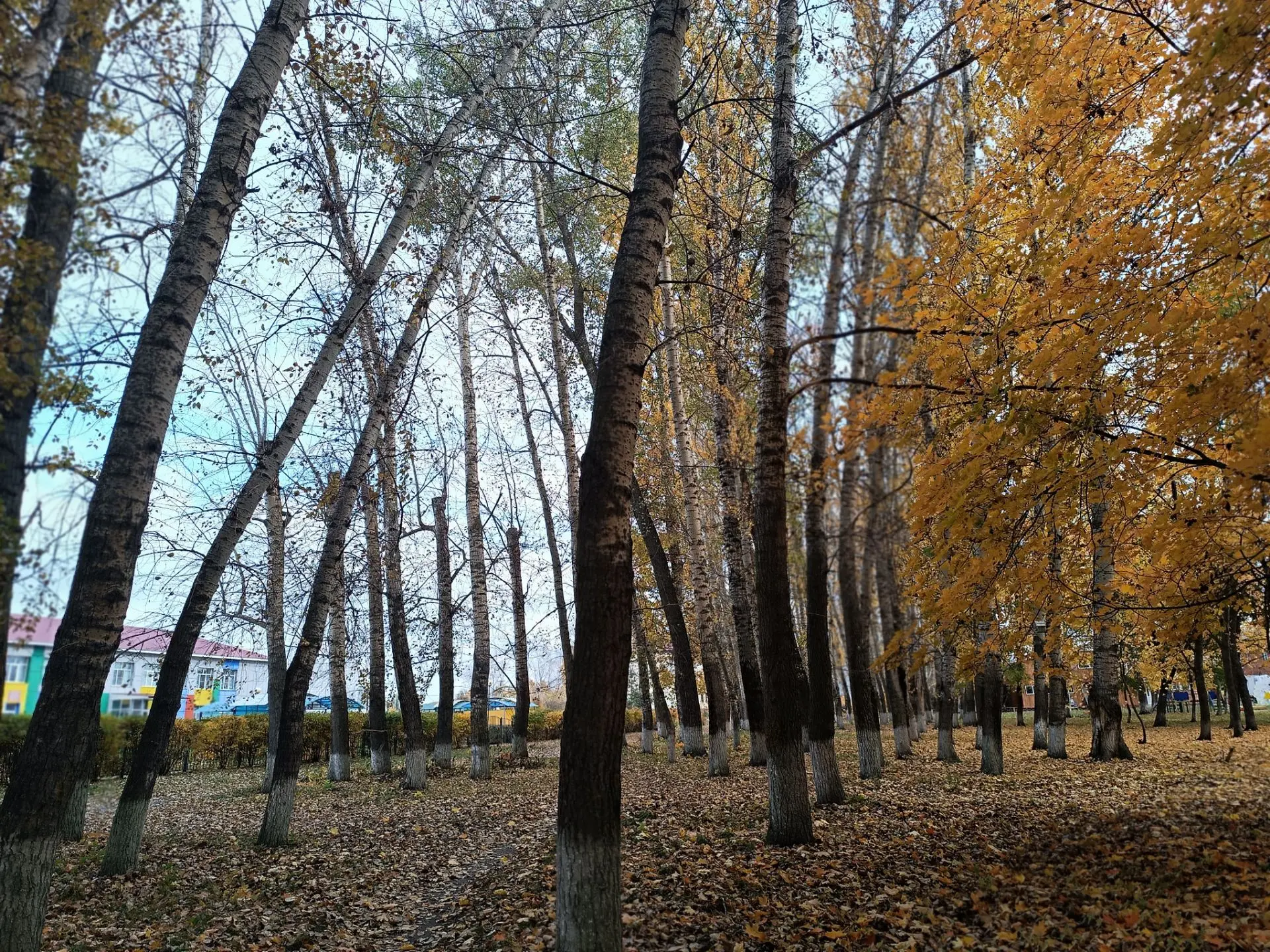 Немного вам наших осенних красок 🔥🍁☀