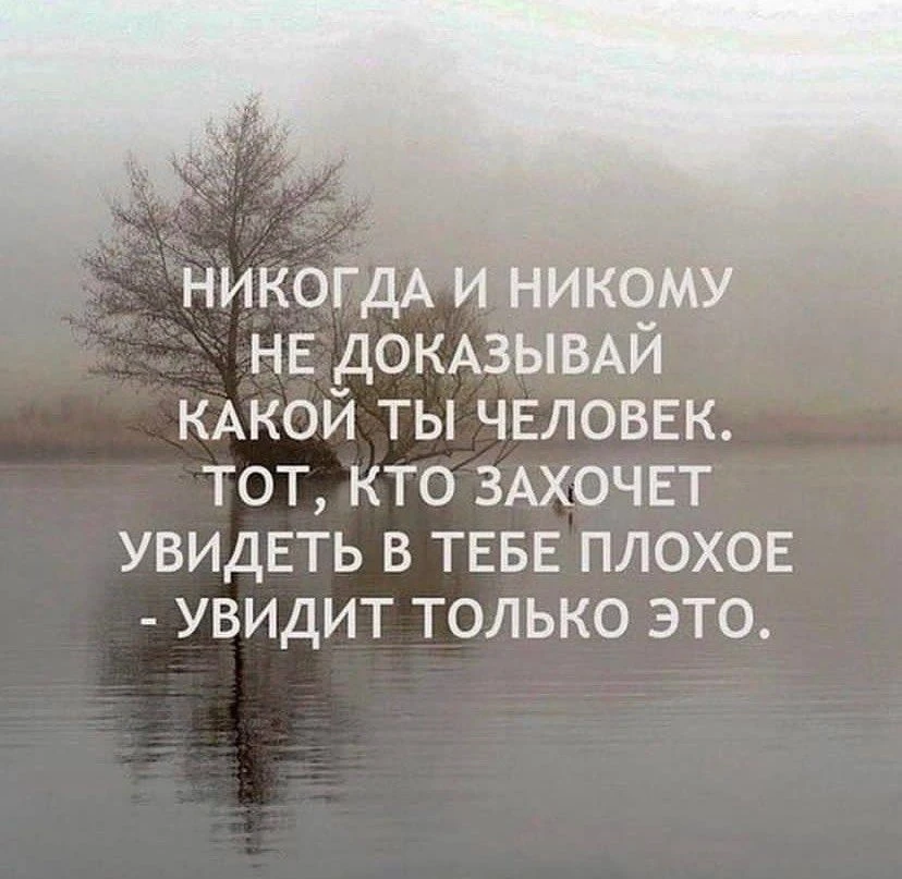 Не стоит тратить силы на то, чтобы доказывать окружающим свою порядочность, доброту или...