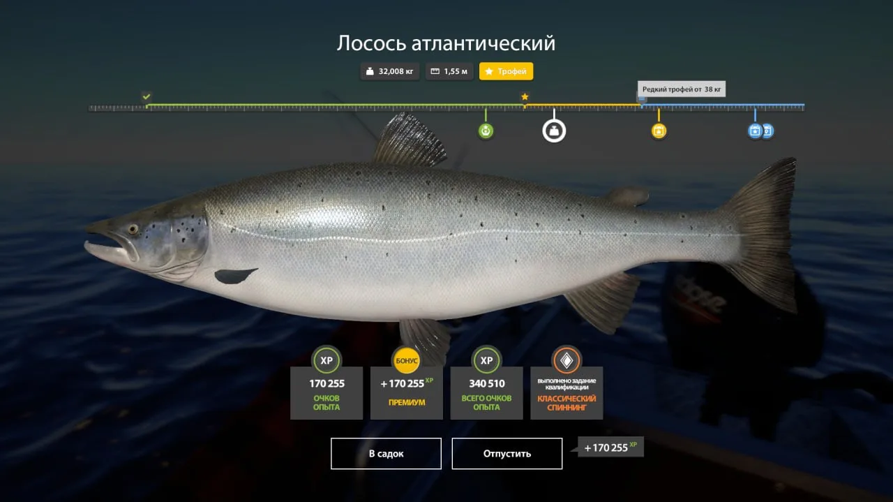 #архипелаг@RF4_Vkluchite_klev