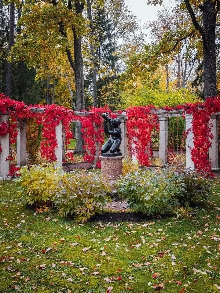 😍 Невероятные краски Ораниенбаума
