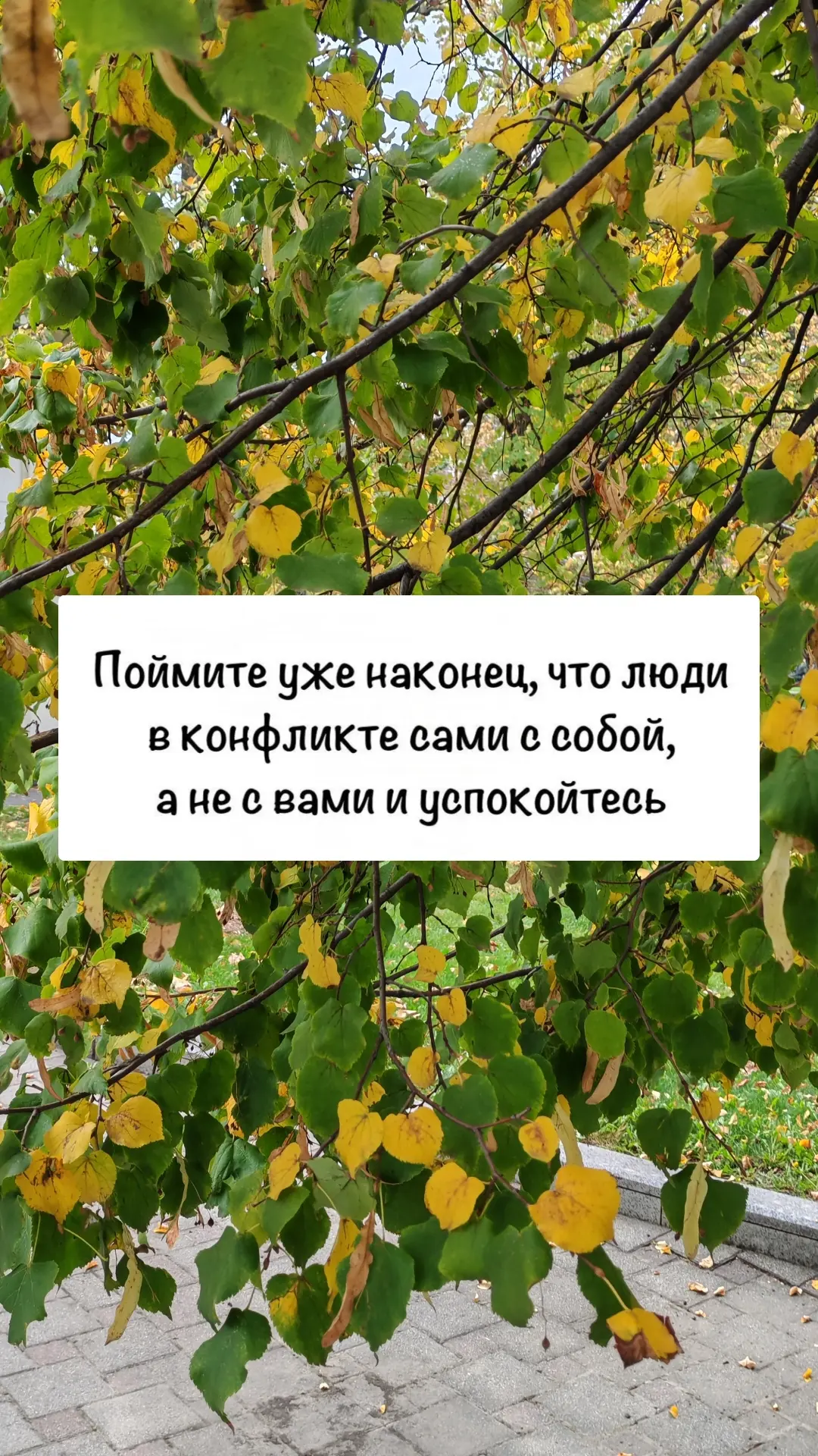 Коротко о второй встрече группы ИСКУССТВО ОБольЩЕНИЯ - каждый общается из своей травмы,...