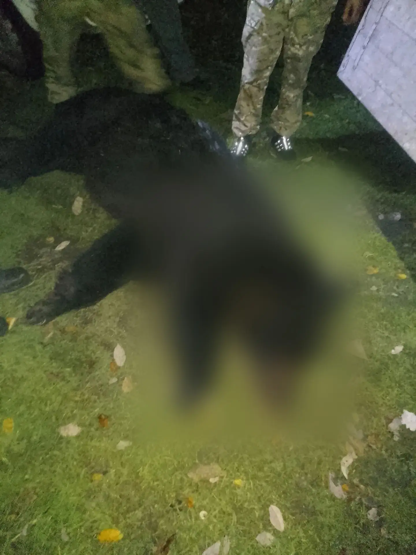 ‼️‎На дистант на неделю с завтрашнего дня, 12 октября,  уходят 🏫школы Майна и Черемуше...