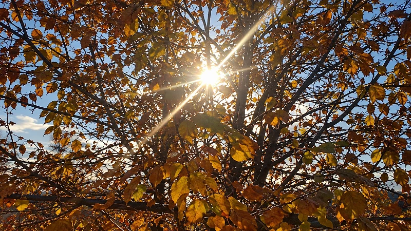 🍁 Середина октября порадует теплом
