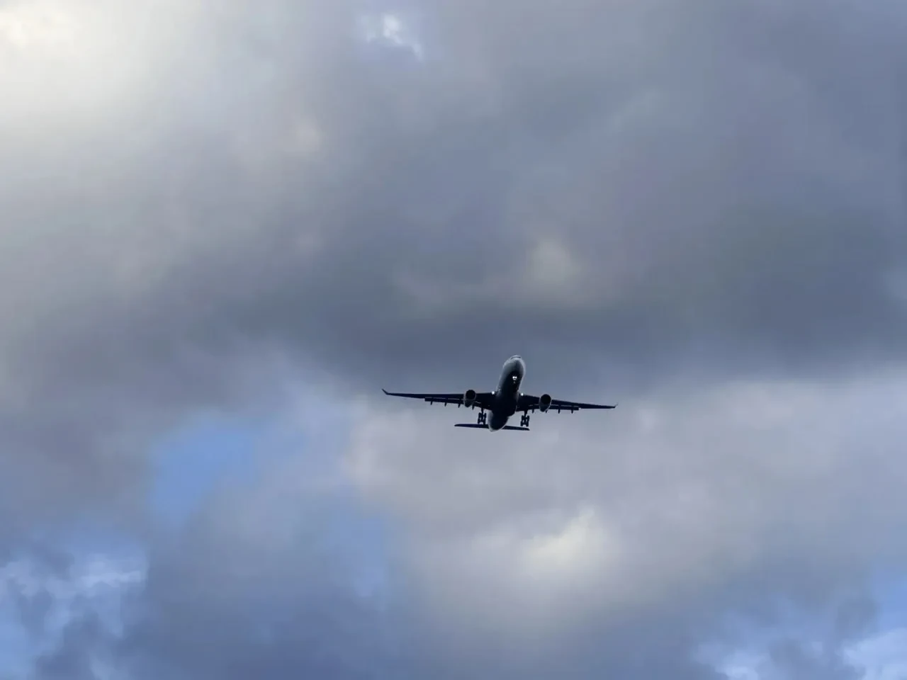 ✈️ Новогодние рейсы из Новосибирска в Краснодар