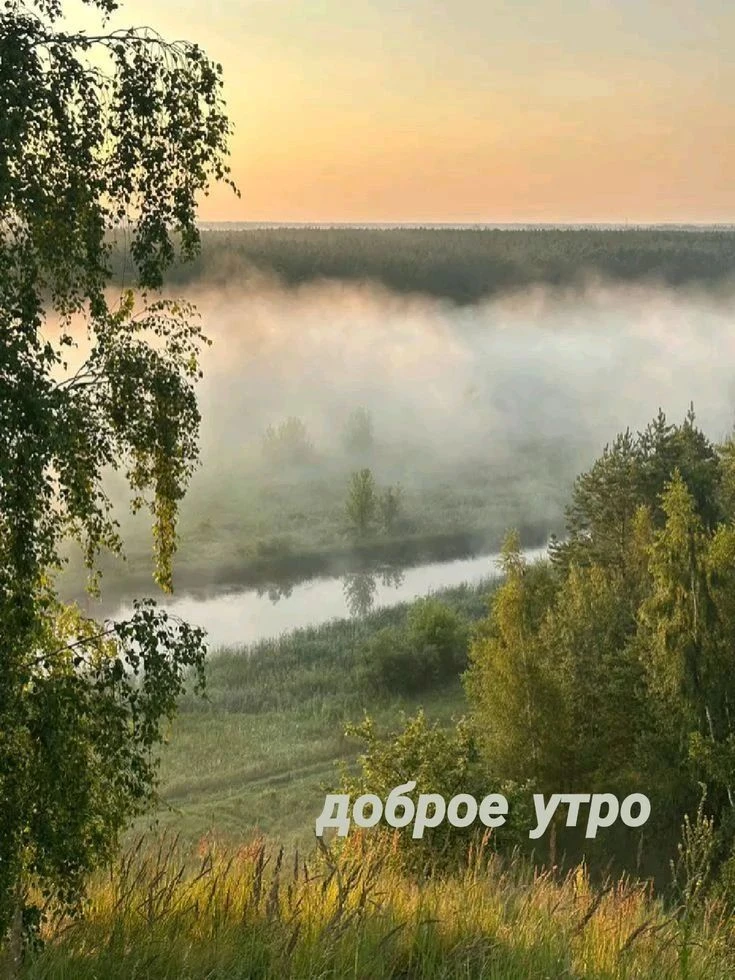 Доброе утро всем вам 👌