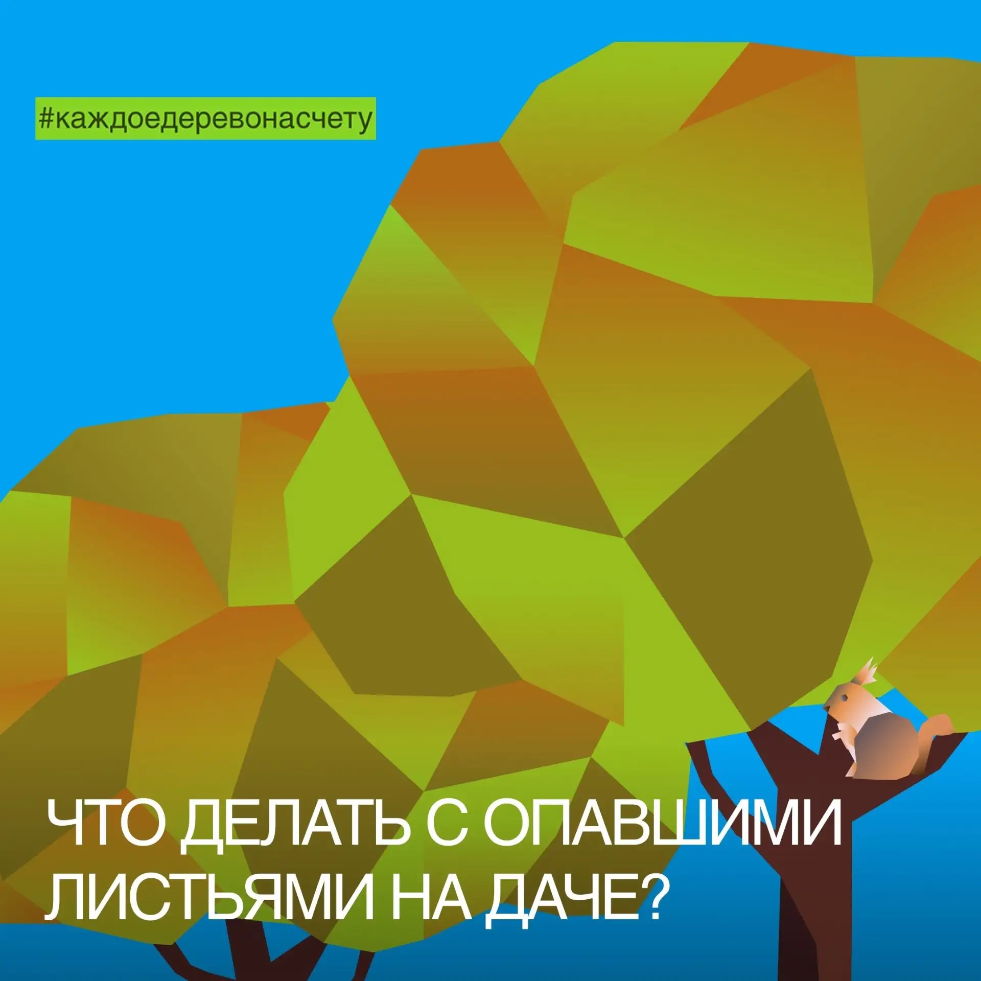 Осенью дачники сталкиваются с одной и той же проблемой: что делать с опавшими листьями?...