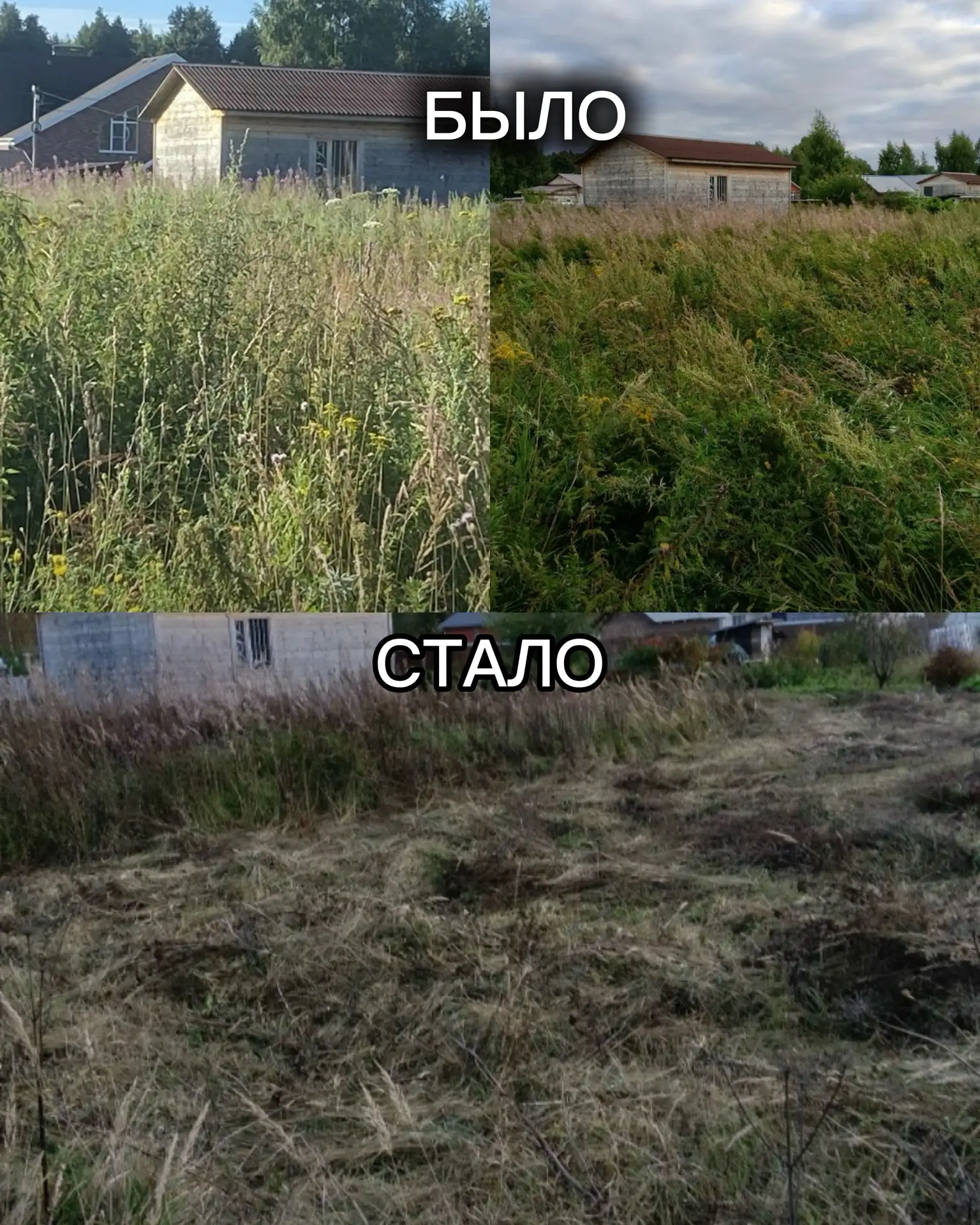 Работа с обращениями: история из деревни Комарово
