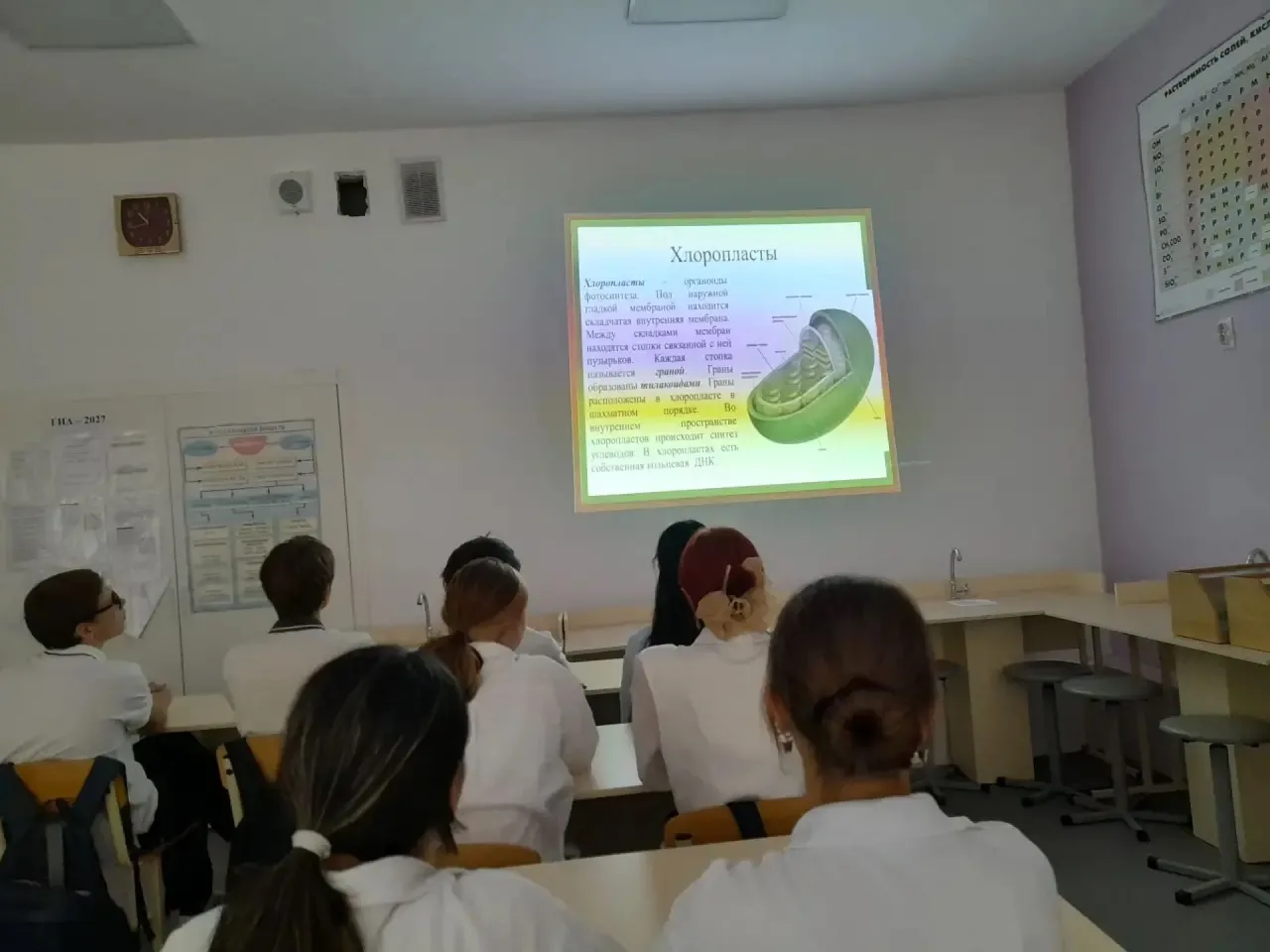 🧬🧪 ТОЧКА РОСТА