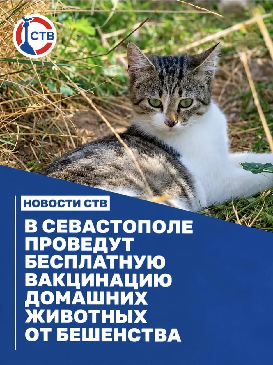 В Севастополе пройдет бесплатная вакцинация животных