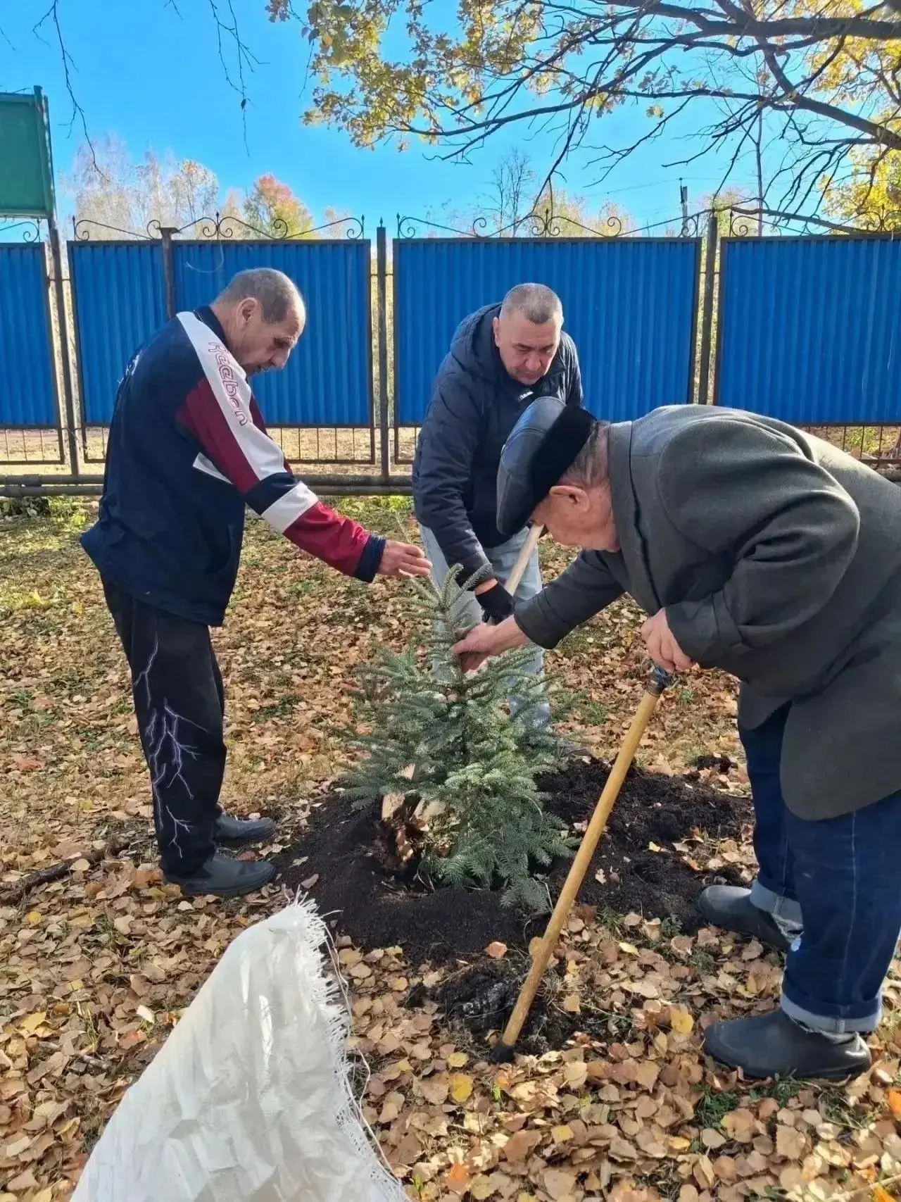 В Лениногорске постояльцы дома-интерната высадили на своём участке молодые ели — в чест...