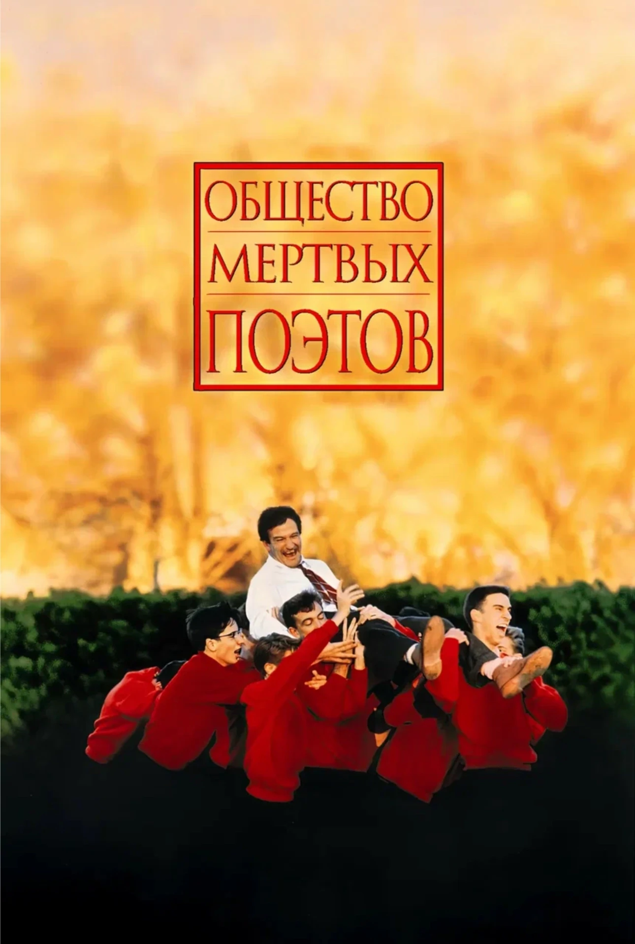🎬 «Полезные выходные»: подборка фильмов от Студенческого совета 🎬
