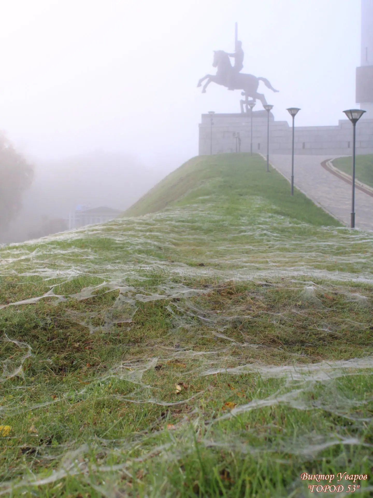Пауки продолжают густо окутывать паутиной улицы Великого Новгорода 🕸️🕸️🕸️