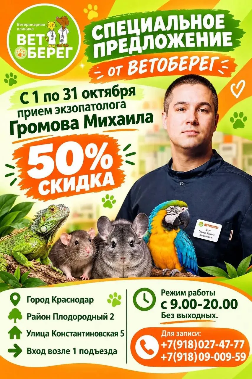 Весь ноябрь в ветеринарной клинике ВЕТОБЕРЕГ проходят акции на прием экзотолога и карди...