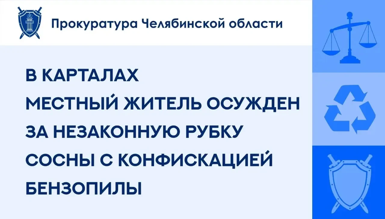🌲 Жителя Карталов осудили за незаконную рубку сосны